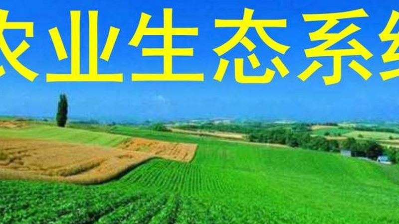 农产品批发商加盟选址：关键因素与策略**
