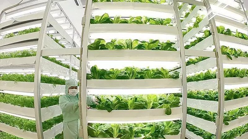 农业产业园给排水工程预算