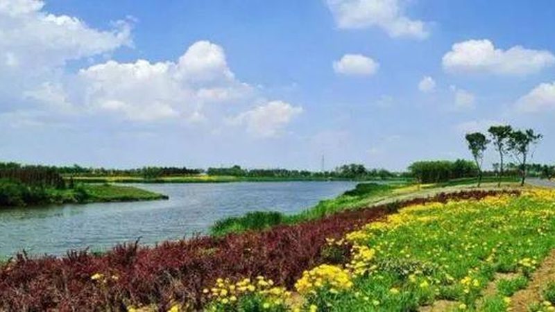 冬季水果种植，如何有效防冻？**