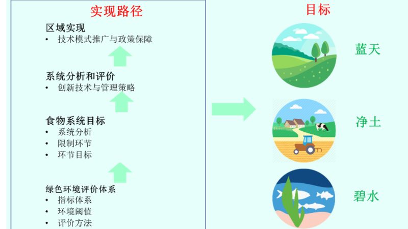 水果种植合作社年收入计算：关键步骤与注意事项