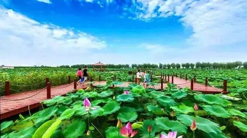 休闲农业差异化怎么做