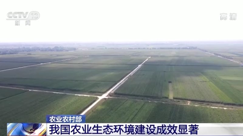 现代温室工程材料选择：关键因素与误区解析