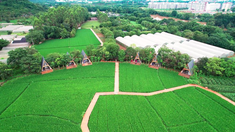 休闲农业与乡村旅游：项目区别解析