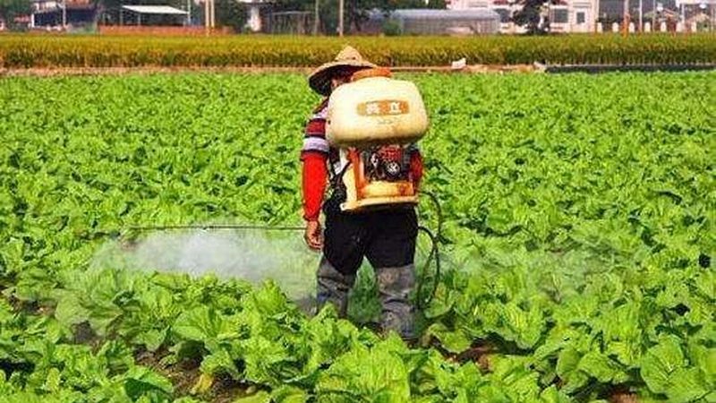 山东粮食种植机械化设备：助力农业现代化的关键一环