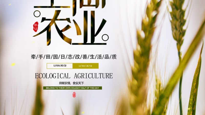 果蔬配送加盟代理的利润密码：揭秘盈利之道**